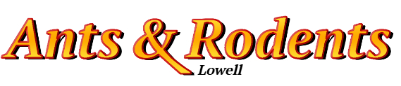 Lowell Ant Exterminator & Rodent Control Company Logo